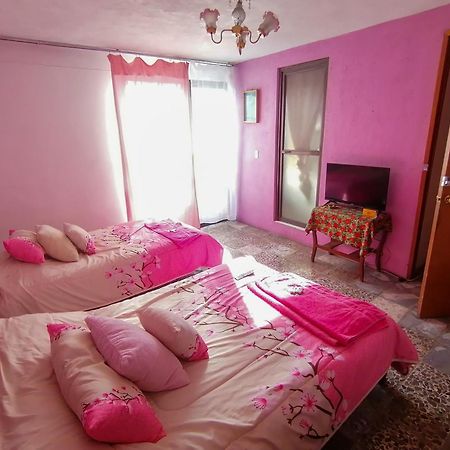La Carreta Rica Apartment Zitácuaro Екстериор снимка